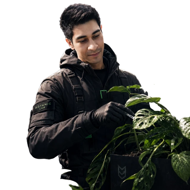 Deniz Arici arbeitet konzentriert an einer Pflanze